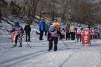 Первенство по лыжным гонкам 