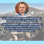 Учёные ДВФУ разобрали все версии экологического ЧП на Камчатке. Смотрите наши карточки, чтобы узнать, что произошло на самом деле