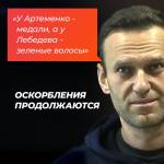 Дело Навального об оскорблении ветерана Великой Отечественной войны начали рассматривать в суде