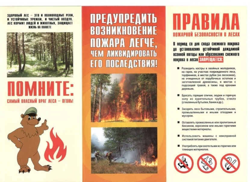 Берегите лес от пожаров!
